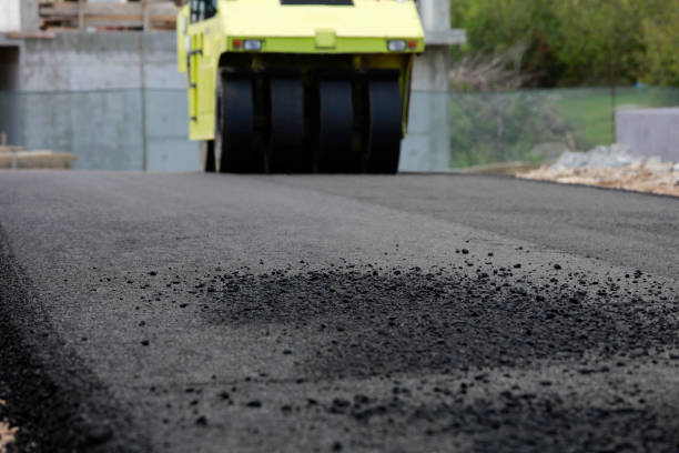 Best Driveway Pavers Near Me  in East Highland Park, VA